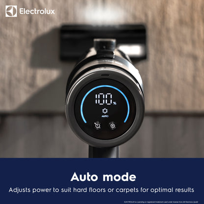 Cordless Stick Vacuum Cleaner with Auto Empty & Charging Station