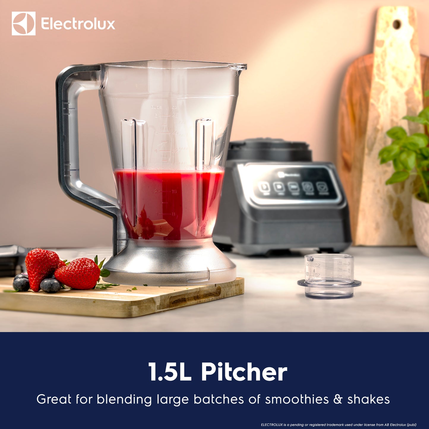 1000W Multi Food Processor & Blender