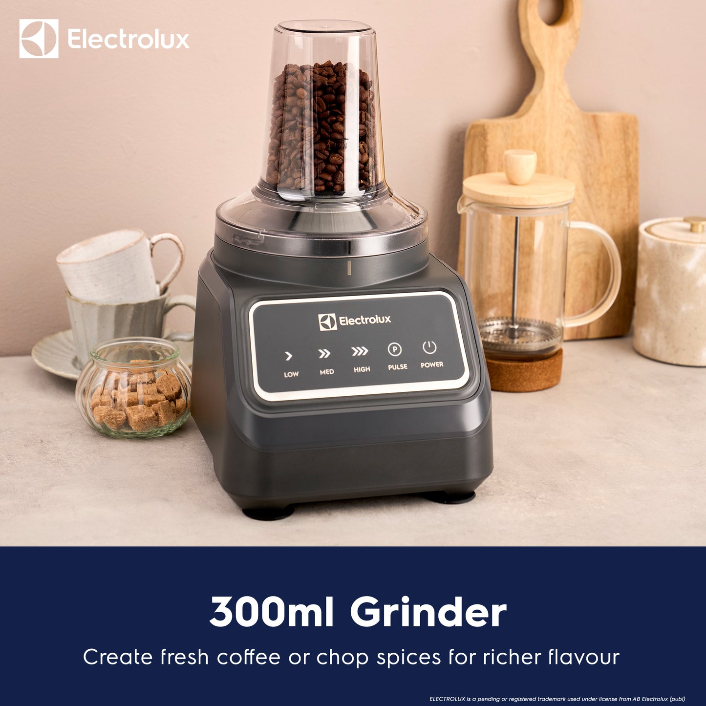 1000W Multi Food Processor & Blender