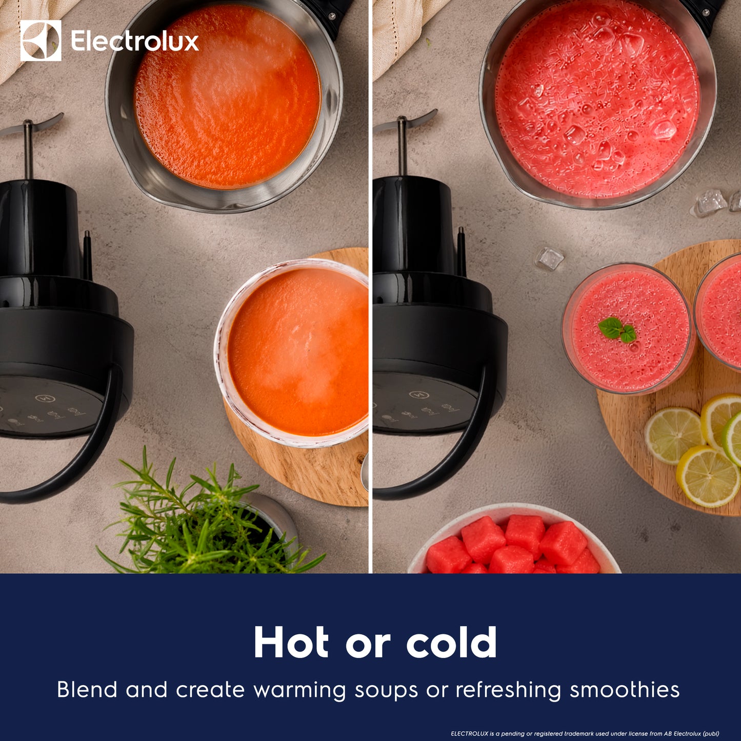 Electrolux Soup Maker