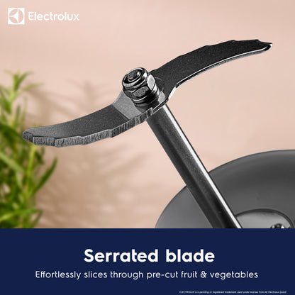 Electrolux Soup Maker